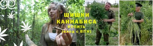 мяу мяу мука Аркадак