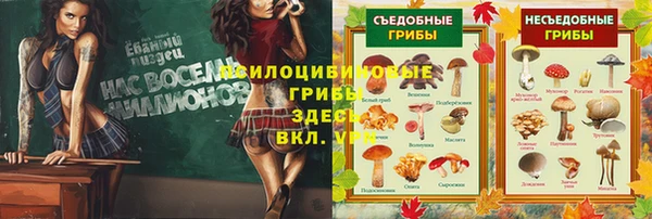 мяу мяу мука Аркадак